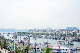 Từ 28/5 sẽ áp dụng mức giá mới cho khách qua cảng Tuần Châu