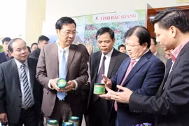 Phó Thủ tướng Trịnh Đình Dũng cùng các đại biểu tham quan triển lãm các sản phẩm OCOP của tỉnh Quảng Ninh. (Nguồn: quangninh.gov.vn)