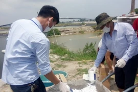 Lực lượng chức năng đang tiến hành các biện pháp phòng chống virus đốm trắng và bệnh gan tụy trên tôm nuôi. (Ảnh: Nguyễn Hoàng/TTXVN)
