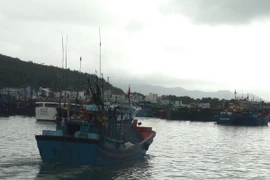 (Ảnh minh họa: Nguyên Lý/TTXVN)