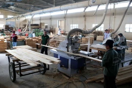 Chế biến gỗ tại Công ty TNHH Khai thác, Chế biến lâm sản Đà Lạt. (Ảnh: Vũ Sinh/TTXVN)