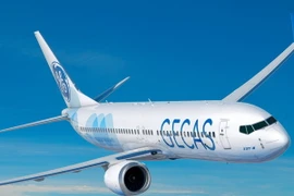 Máy bay Boeing 737 MAX 8. (Nguồn: asiatraveltips.com)