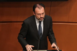 Ngoại trưởng Mexico Luis Videgaray. (Ảnh: EPA/TTXVN)