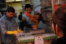 Khách hàng mua gà sống tại một cửa hàng ở quận Wan Chai, Hong Kong. (Ảnh: AFP/TTXVN)