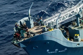 Tàu Yushin Maru của Nhật Bản săn cá voi ở Nam Đại Dương. (Nguồn: EPA/TTXVN)
