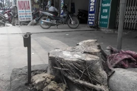 (Ảnh: Mạnh Khánh/Vietnam+)