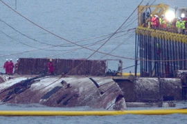 Lực lượng cứu hộ làm nhiệm vụ trục vớt phà Sewol trên vùng biển gần Jindo, cách Seoul 472km về phía tây nam ngày 23/3. (Ảnh: Yonhap/TTXVN)