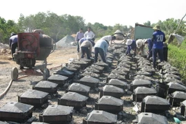 Công nhân đổ các khối bêtông bảo vệ mái đê. (Ảnh: Minh Trí/TTXVN)