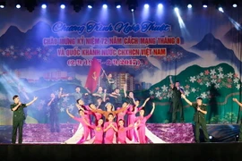 Một tiết mục văn nghệ tại chương trình nghệ thuật đặc sắc chào mừng Quốc khánh 2/9. (Ảnh: Xuân Tư/TTXVN)