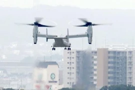 Máy bay vận tải CV-22 Osprey tại căn cứ không quân Yokota tháng 11/2015. (Ảnh: Kyodo/TTXVN)