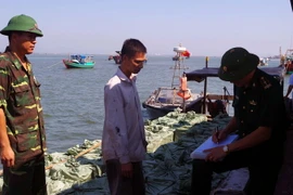 Lực lượng chức năng tiến hành thu giữ tang vật. (Ảnh: Nguyễn Hoàng/TTXVN)