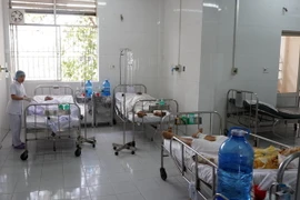 (Ảnh minh họa: Phương Vy/TTXVN)