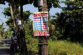Biển quảng cáo và tờ rơi ghi số điện thoại mua bán đất dán đầy trên các cây xanh tại khu vực xã Vĩnh Lộc A, B, huyện Bình Chánh. (Ảnh: Hoàng Hải/TTXVN)