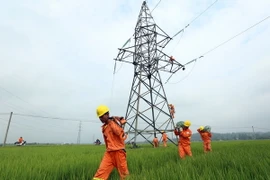 Sửa chữa, cải tạo đường điện. (Ảnh: Huy Hùng/TTXVN) 
