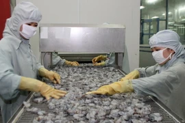 Chế biến tôm xuất khẩu. (Ảnh: Huy Hùng/TTXVN)