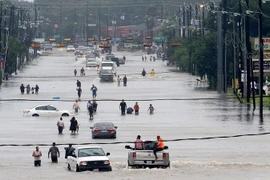 Cảnh ngập lụt do mưa lớn trong bão Harvey ở Houston, bang Texas ngày 27/8 tới. (Ảnh: AFP/TTXVN)