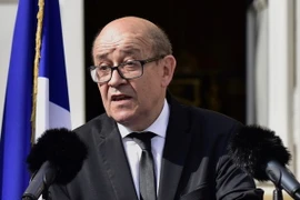 Ngoại trưởng Pháp Jean-Yves Le Drian. (Ảnh: AFP/TTXVN)