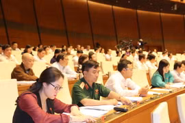 Các đại biểu Quốc hội biểu quyết thông qua Nghị quyết. (Ảnh: Trọng Đức/TTXVN)