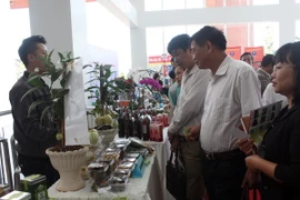 Đại biểu các tỉnh tham quan mô hình trồng cây ứng dụng công nghệ cao. (Ảnh: Chu Quốc Hùng/TTXVN)