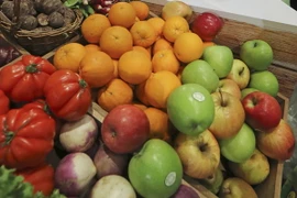 Ảnh minh họa. (Nguồn: AFP/TTXVN)