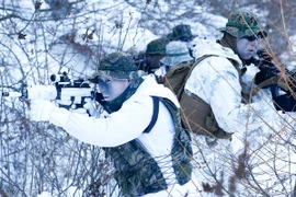 Lính thủy đánh bộ Mỹ và Hàn Quốc tham gia cuộc tập trận tại Pyeongchang ngày 24/1 vừa qua. (Ảnh: EPA/TTXVN)