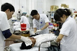 (Ảnh minh họa: Dương Ngọc/TTXVN)