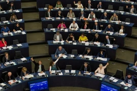 Các nghị sỹ của Nghị viện châu Âu (EP) tại phiên họp ở Strasbourg, Pháp ngày 5/7. (Ảnh: EPA/TTXVN)