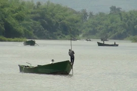 Nhiều ghe khai thác cát trái phép. (Ảnh: Nguyên Lý/TTXVN)