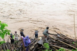 Người dân xã Na Sang mạo hiểm lội xuống suối Nậm Mức để vớt củi. (Ảnh: Văn Dũng/TTXVN)