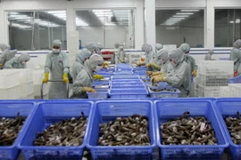 Chế biến tôm xuất khẩu. (Ảnh: Huy Hùng/TTXVN)