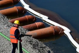  Công nhân dọn dầu loang. Ảnh minh họa. (Nguồn: AFP/TTXVN)