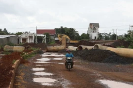 (Ảnh minh họa: Dương Giang/TTXVN)