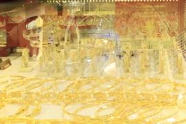 (Ảnh minh họa: Trần Việt/TTXVN)