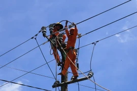 (Ảnh minh họa: Hồ Cầu/TTXVN)