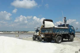 Vận chuyển muối đi tiêu thụ tại Xí nghiệp Muối xuất khẩu Hòn Khói. (Ảnh: Nguyên Lý/TTXVN)