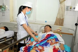 (Ảnh minh họa: Mạnh Tú/TTXVN)