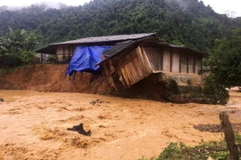 Mưa lũ ở huyện Điện Biên. (Ảnh: TTXVN phát)