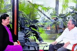 Quảng cảnh buổi tiếp. (Ảnh: Vũ Lê Hà/TTXVN)