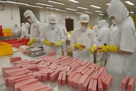 Doanh nghiệp tư nhân chế biến thủy sản Hồng Ngọc ở Khu công nghiệp Hòa Hiệp, tỉnh Phú Yên. (Ảnh: Vũ Sinh/TTXVN)