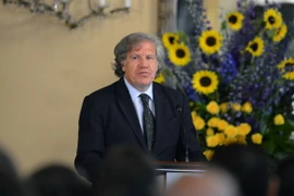 Tổng thư ký OAS Luis Almagro. (Ảnh: AFP/TTXVN)