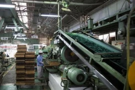 (Nguồn: Getty Images)