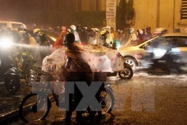 (Ảnh minh họa/TTXVN)