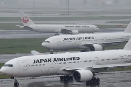 Máy bay của Hãng Hàng không Nhật Bản (JAL) tại sân bay Haneda, Tokyo, Nhật Bản. (Ảnh: AFP/TTXVN)