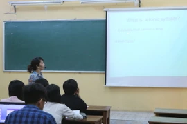 (Ảnh minh họa: Minh Thu/TTXVN)