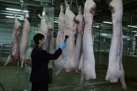 Nhân viên Chi cục Thú y đóng dấu kiểm dịch lên sản phẩm thịt lợn. (Ảnh: Vũ Sinh/TTXVN)