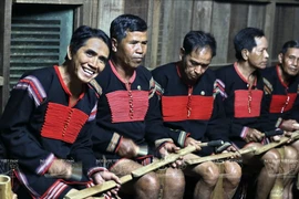 Thăm nhà dài - cảm nhận nét văn hóa đặc sắc của dân tộc Ê Đê