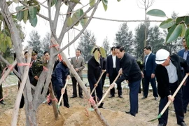 Chủ tịch nước Trần Đại Quang trồng cây tại Khu Di tích Chủ tịch Hồ Chí Minh- nơi Bác Hồ đã về thăm và nói chuyện với cán bộ, công nhân Công trường than Đèo Nai năm 1959. (Ảnh: Nhan Sáng/TTXVN)