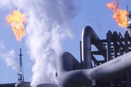 Ảnh minh họa. (Nguồn: Getty Images)