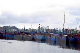 Tàu thuyền vào neo đậu tránh trú bão. (Nguồn: TTXVN)