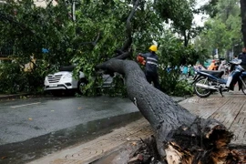 Ảnh minh họa. (Nguồn: TTXVN)